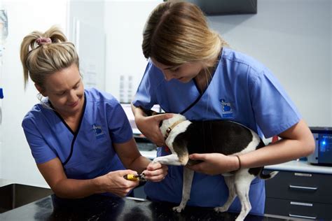 Vet Clinic in Żurrieq .